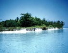 tropical beach wallpaper 066
