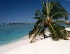 Tropical beach wallpaper 078