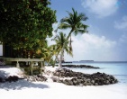Tropical beach wallpaper 079