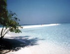 Tropical beach wallpaper 080