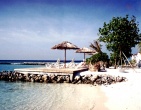 Tropical beach wallpaper 082