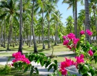 Tropical beach wallpaper 095