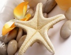Beautiful wallpaper 054