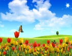 Beautiful wallpaper 119