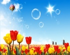 Beautiful wallpaper 150