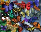 Best wallpaper 042