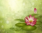 Best wallpaper 171