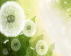 Best wallpaper 175