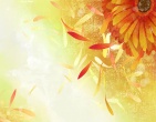 Best wallpaper 176