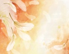 Best wallpaper 183