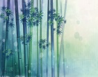 Best wallpaper 189
