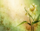 best wallpaper 193