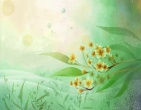 Best wallpaper 197