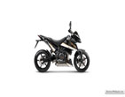 KTM_690_Duke_2011_10
