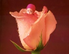 childrens wallpaper 017