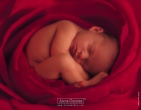 Childrens wallpaper 030