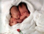 Childrens wallpaper 181