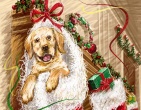 christmas new year wallpaper 138