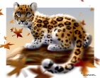 Cool wallpaper 006