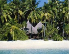 Cool wallpaper 027