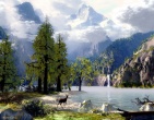 Cool wallpaper 053