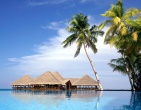 Cool wallpaper 089