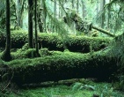 Cool wallpaper 092