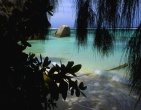Cool wallpaper 137