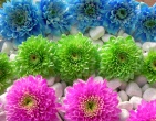 Digital photos wallpaper 059