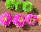 Digital photos wallpaper 063