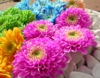 Digital photos wallpaper 068