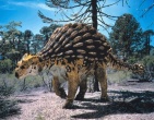 Dinosaurs wallpaper 033