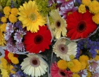 Flowers wallpaper 005