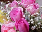Flowers wallpaper 050