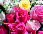 Flowers wallpaper 062