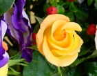 Flowers wallpaper 068