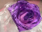 Flowers wallpaper 075