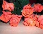 Flowers wallpaper 085