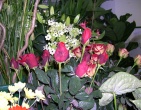 Flowers wallpaper 091