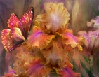 Flowers wallpaper 159