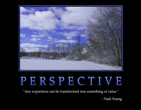 Perspective
