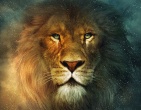 Movies wallpaper 162
