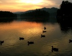 Nature wallpaper 103