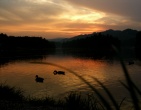 nature wallpaper 107