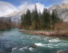nature wallpaper 182