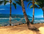 Paradise wallpaper 010