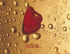 StValentine 116