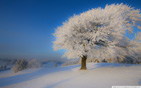 Beautiful_winter_landscape wallpaper