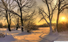 Footsteps_in_snow wallpaper