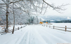 Winter_in_the_carpathians wallpaper